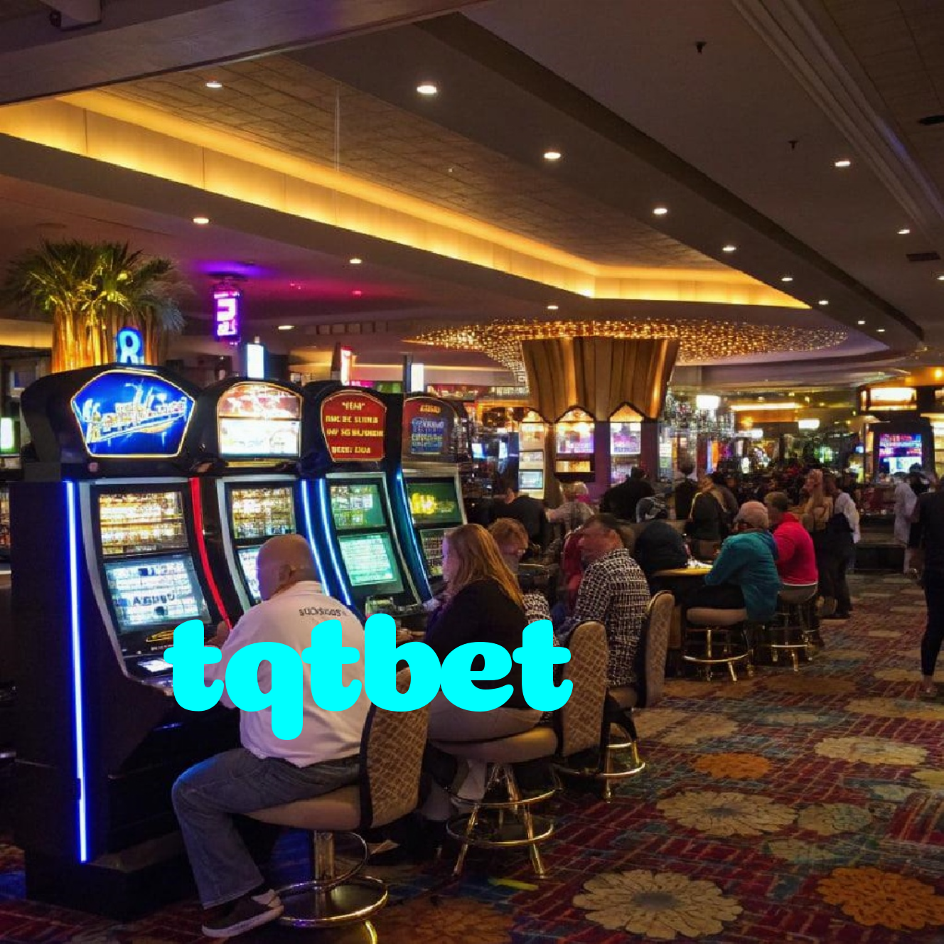 tqtbet